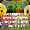 Inteligencia emocional