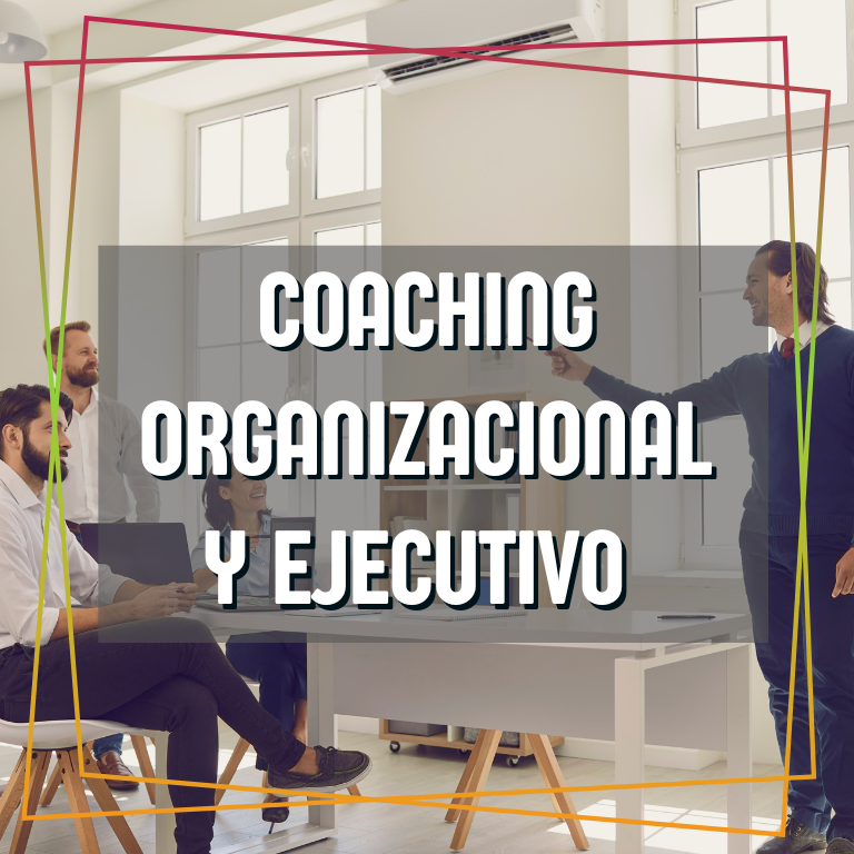 Servicios 12 Asesoría Empresarial - Planificación Estratégica de Marketing - Konvergente