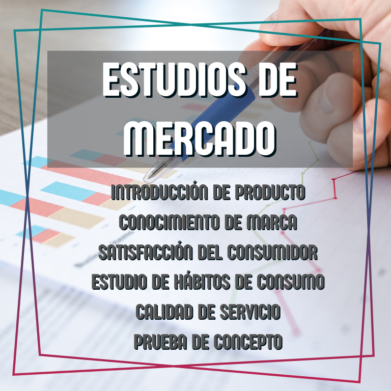 Servicios 13 Asesoría Empresarial -Diseño y desarrollo de página web - Konvergente