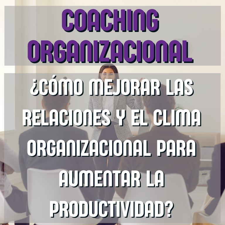 Servicios 20 Asesoría Empresarial - Planificación Estratégica de Negocios - Konvergente