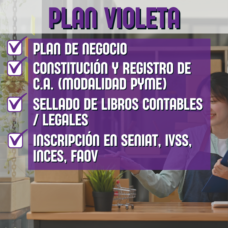 Inicio 7 asesoría empresarial y de negocios plan violeta